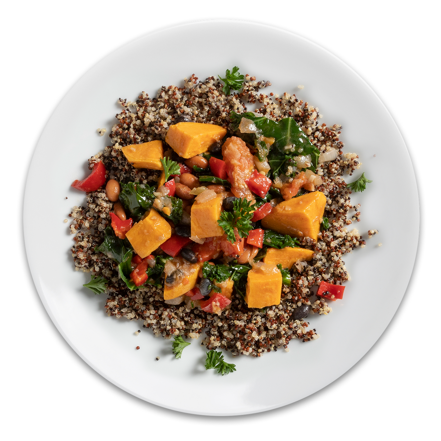 Gluten Free Kale & Quinoa Stew on plate - Sedona