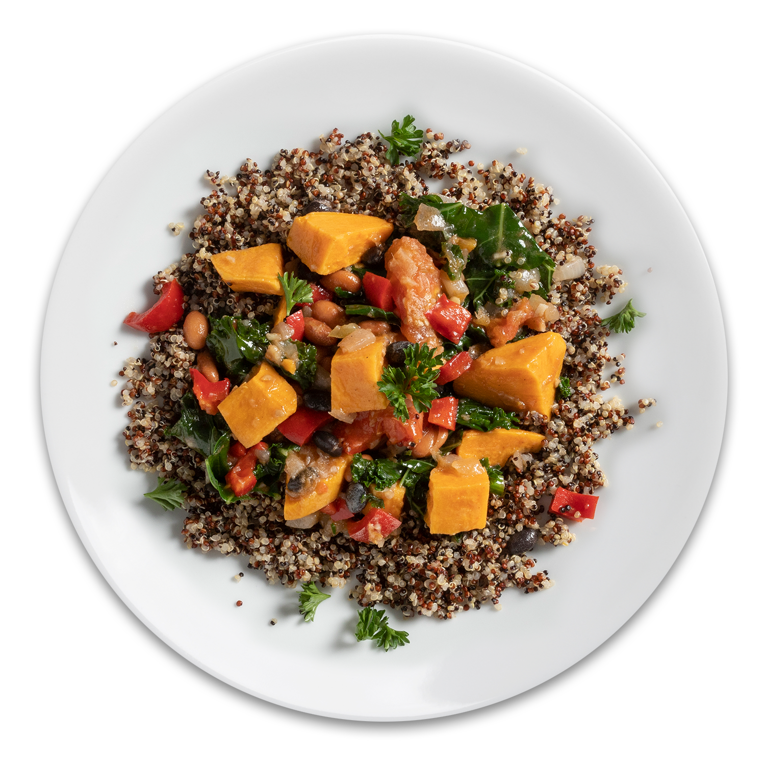 Gluten Free Kale & Quinoa Stew on plate - Sedona